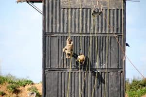 04 - discesa in corda doppia con trasporto del ferito