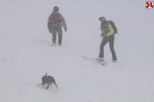 cinofilo soccorso alpino Ca.S.T.A. 2018
